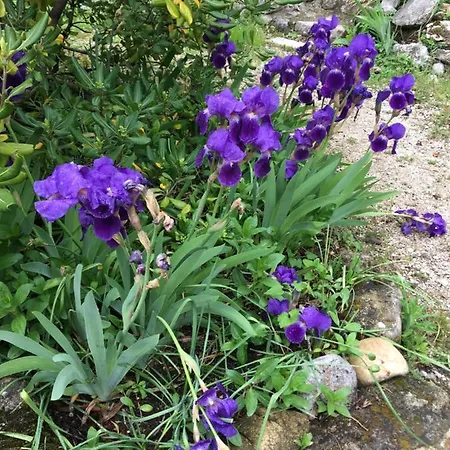 Clos Des Iris Hotel Moustiers-Sainte-Marie