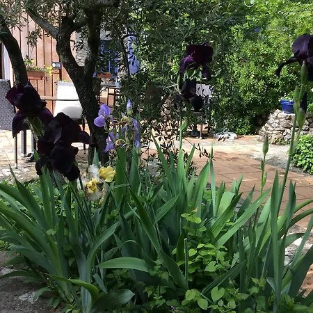 Ξενοδοχείο Clos Des Iris Moustiers-Sainte-Marie