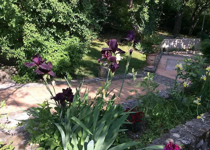 Clos Des Iris Hotel 2*